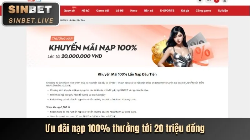 Ưu Đãi Độc Quyền Dành Cho VIP